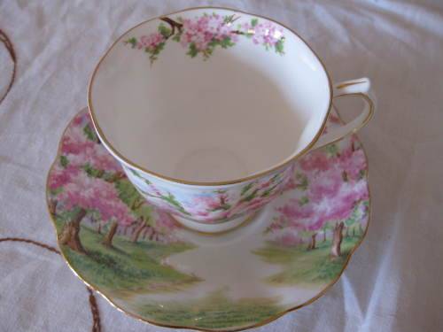Royal Albert Blossom Time Tea Duo