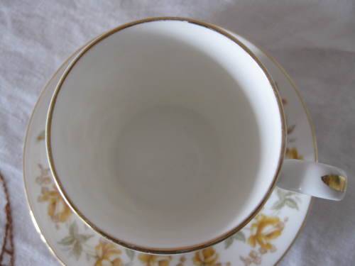 Royal Albert Orange Taffeta