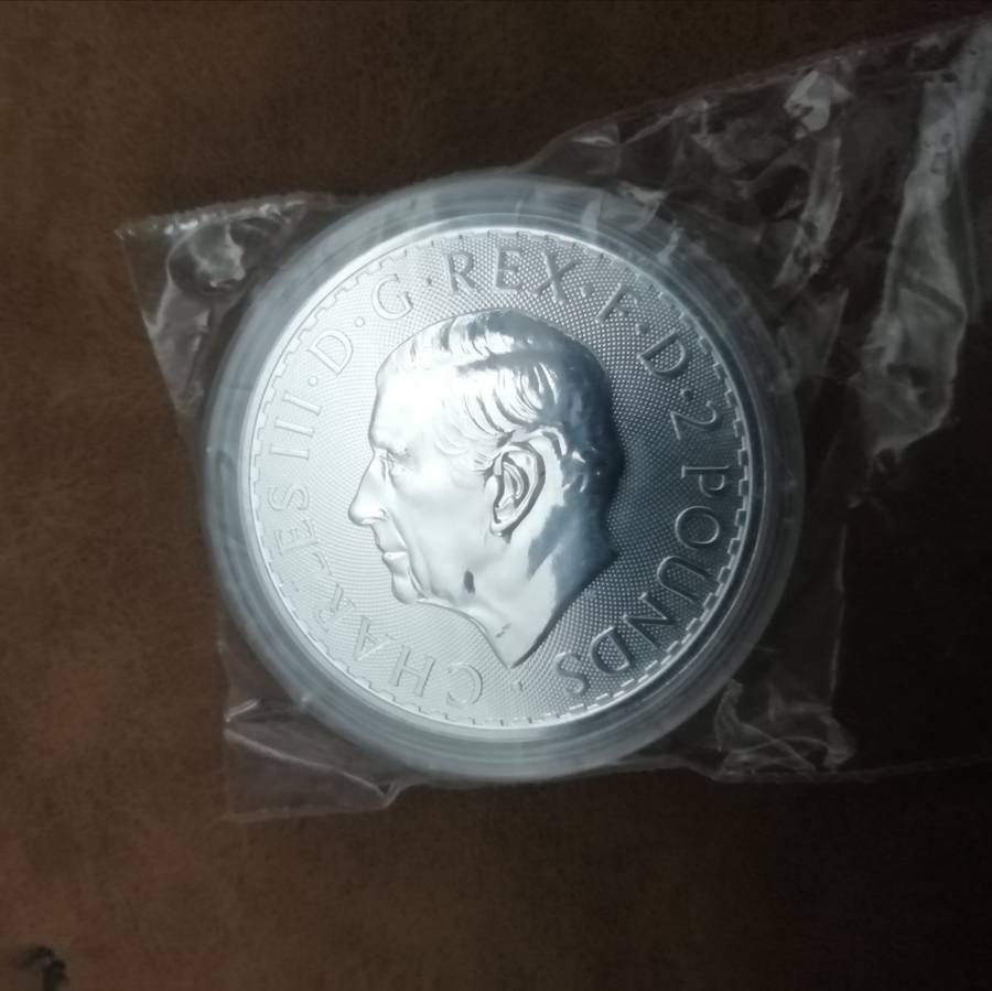 2024 Silver Britannia in Capsule