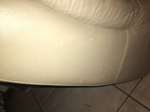 Leather fainting sofa couch