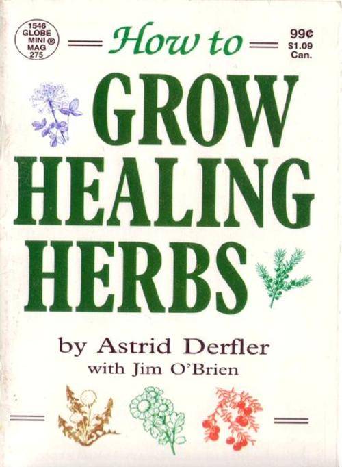 How-To-Grow-Healing-Herbs EBOOK