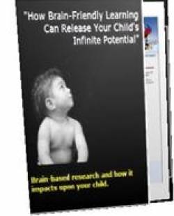 Unleash The Genius In Your Child Ebook