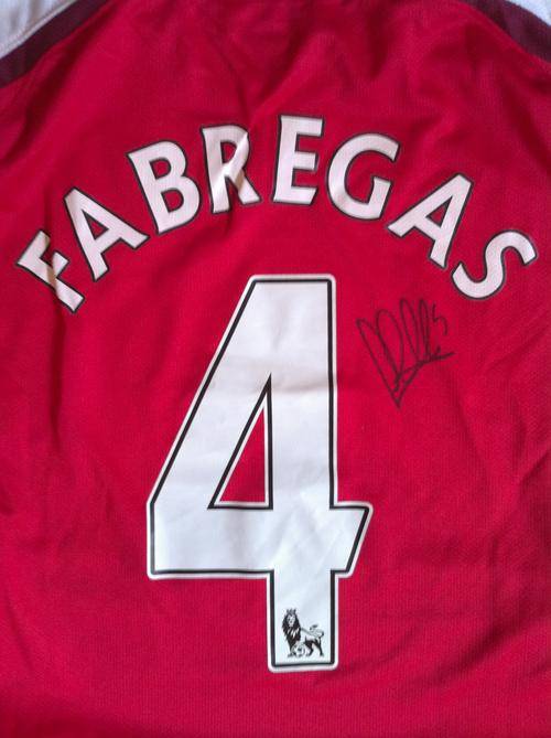 Cesc Fabregas signed Arsenal 2009/10 home shirt WOW