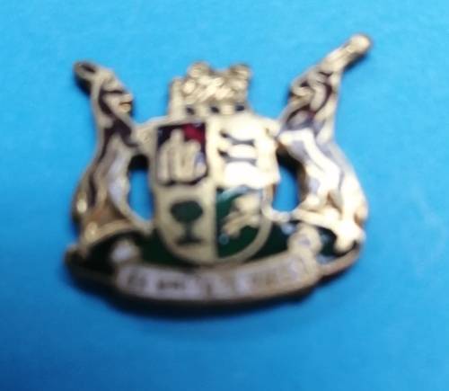 SAPS Insignia ??