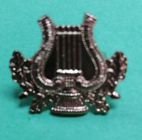 SAP badge (Musician) Starting at R1