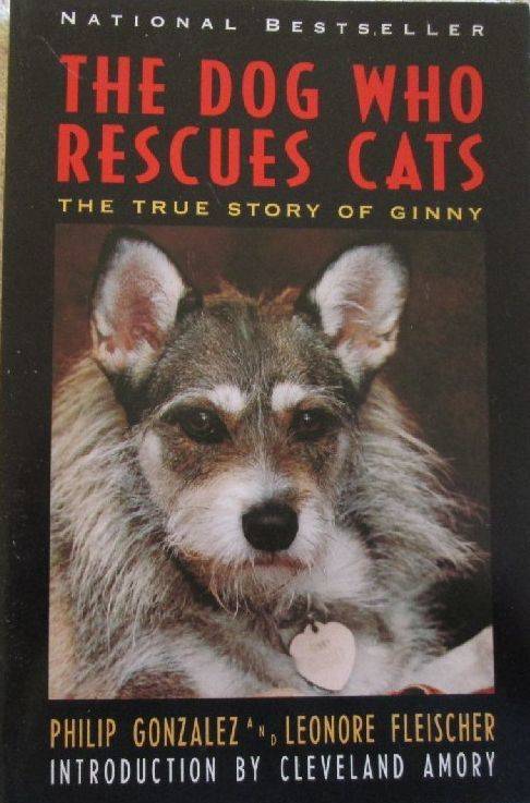 The Dog Who Rescues Cats - The True Story of Ginny - Philip Gonzalez and Leonore Fleischer
