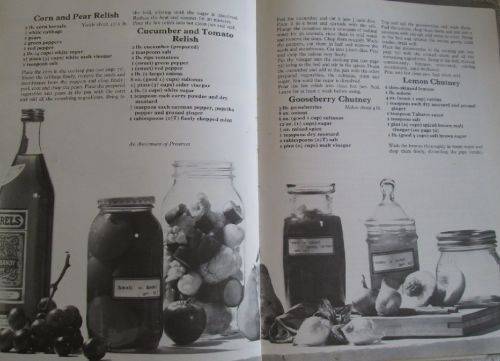 Preserves and Pickles - Alison Burt