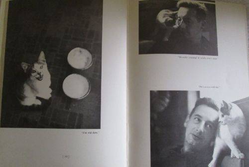 The Silent Miaow - Paul Gallico - First Edition 1964