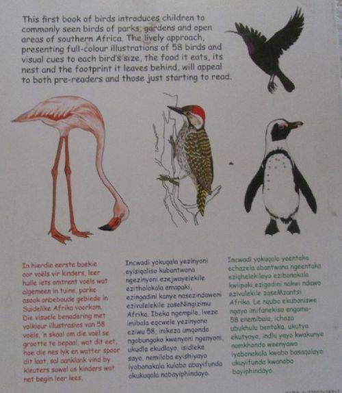 My First Book of South African Birds - Erroll Cuthbert Illustrated by Jennifer Schaum