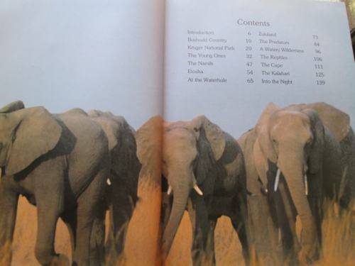Wildlife of South Africa - David Steele - Hardcover - 152 pages