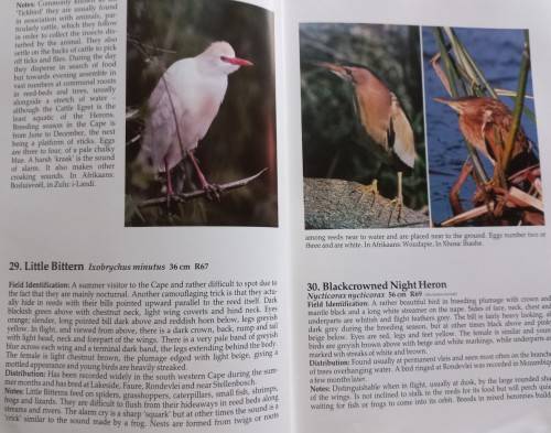 Birds of the South Western Cape - Joy Frandsen - Hardcover - 230 Pages