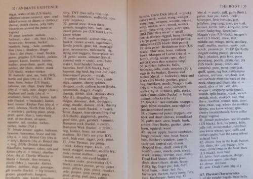 The Slang Thesaurus - Jonathon Green - Hardcover - 280 Pages