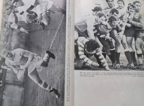Die Ligbloues - Johan Volschenk - Softcover - 193 Pages
