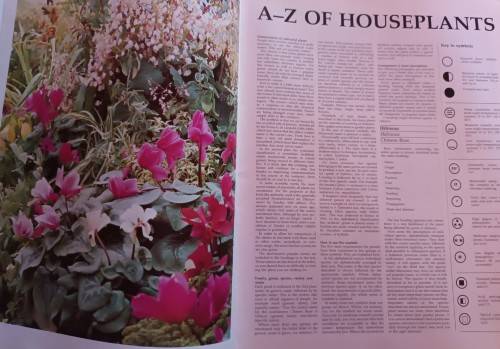 The Hamlyn Encyclopedia of House Plants - Rob Herwig - Softcover - 208 pages