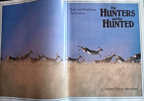 The Hunters and the Hunted - Karl and Kathrine Ammann - Hardcover - 192 pages