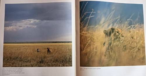 The Hunters and the Hunted - Karl and Kathrine Ammann - Hardcover - 192 pages