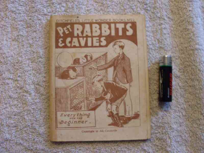 Pet rabbits and cavies