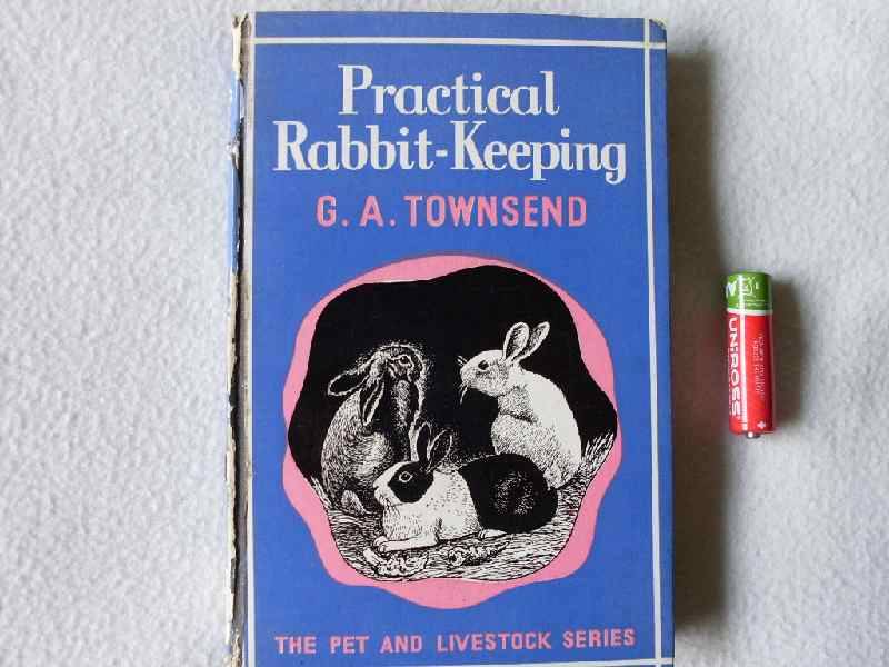 Practical Rabbit keeping - G. A. Townsend