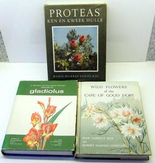 WILD FLOWERS of the CAPE OF GOOD HOPE