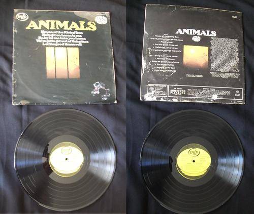 The most of the ANIMALS