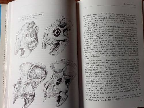 The Dinosaur Heresies:A Revolutionary View of Dinosaurs by Robert T. Bakker - Large Hardcover