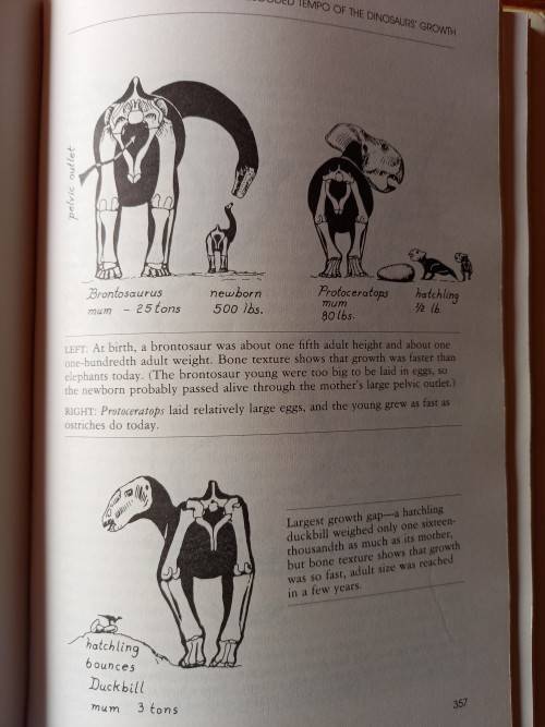 The Dinosaur Heresies:A Revolutionary View of Dinosaurs by Robert T. Bakker - Large Hardcover