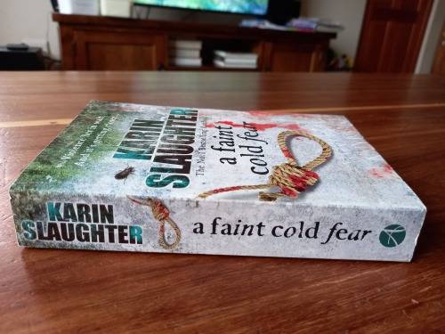 A Faint Cold Fear (Grant County #3) by Karin Slaughter