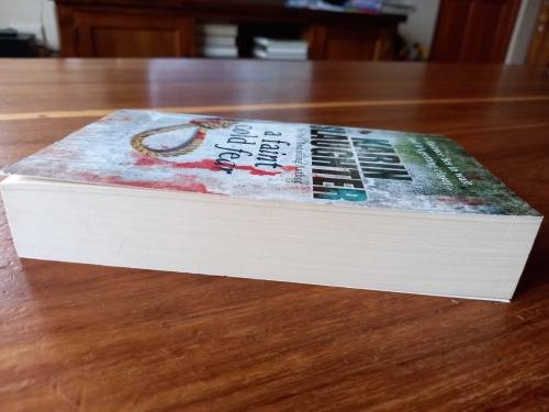 A Faint Cold Fear (Grant County #3) by Karin Slaughter