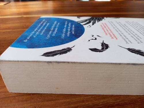 Nevernight (The Nevernight Chronicle #1) by Jay Kristoff  - Large Softcover