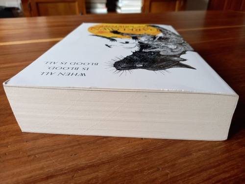 Darkdawn (The Nevernight Chronicle #3) by Jay Kristoff - Large Softcover