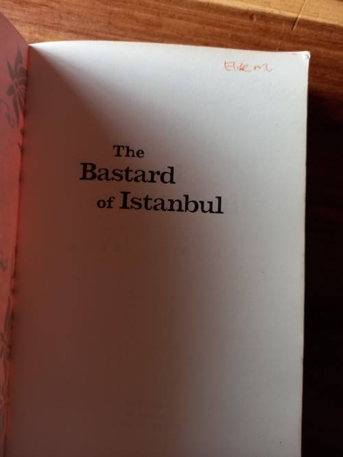 The Bastard of Istanbul by Elif Shafak - Large Softcover