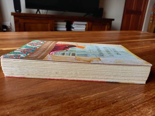 A House Without Windows by Nadia Hashimi - Large Softcover