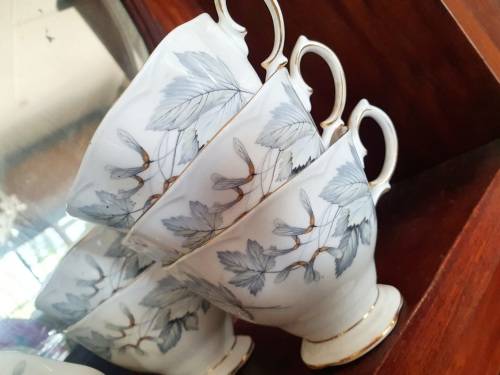 Royal Albert Silver Maple you are bidding on a single cup only    (11 available)
