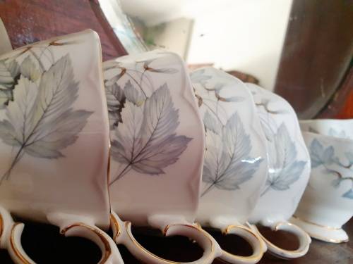 Royal Albert Silver Maple you are bidding on a single cup only    (11 available)
