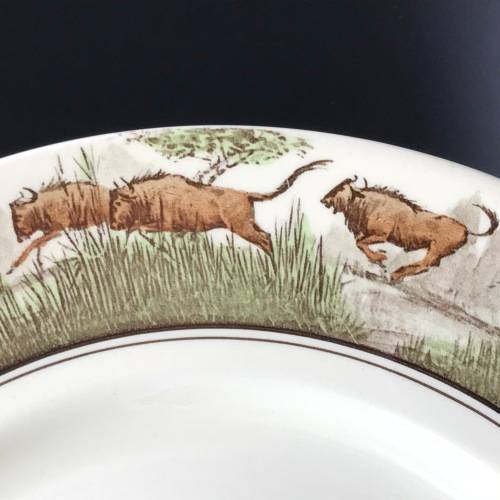 Early Royal Doulton `Cecil Rhodes` Plate