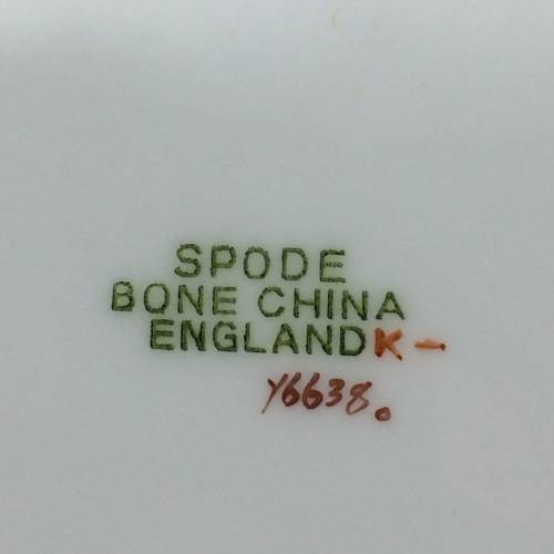 Scarce Spode `Rhododendron` Flower Plate