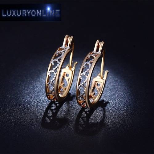 GORGEOUS!  Hoop Earrings