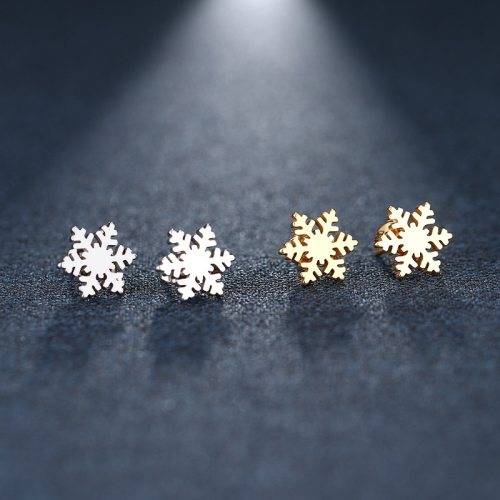 GORGEOUS!  100% Titanium Snow Flake Stud Earrings **R 270** (SILVER)