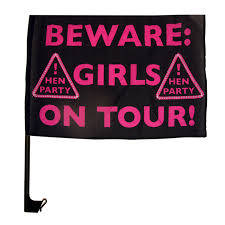 Hen party girls night, beware girls on tour, car window flag