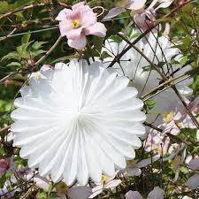 Tissue paper decorative hanging paper fan - 50cm - white