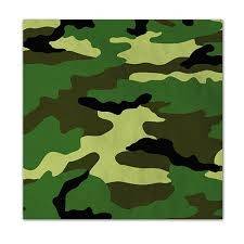 Camo army kids party serviettes (20)