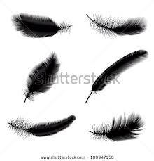 Black feathers pack of +-10