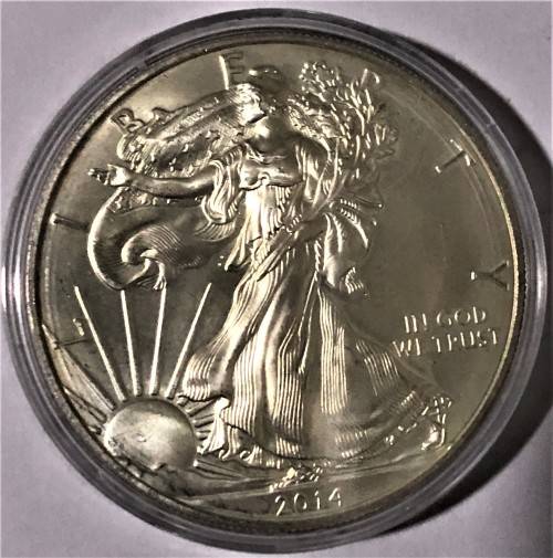 2014 American Eagle Brilliant Uncirculated Coin