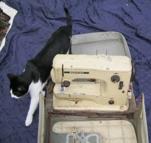 1950¿s ? Nostaligic Sewing Machine