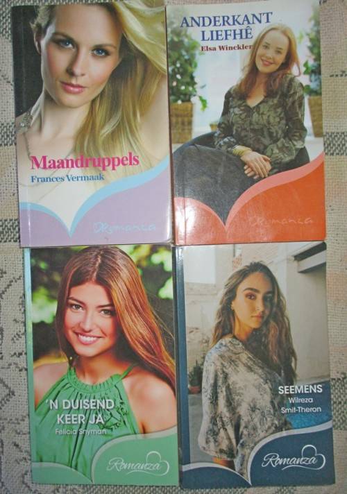 Afrikaans novels  Books x 22