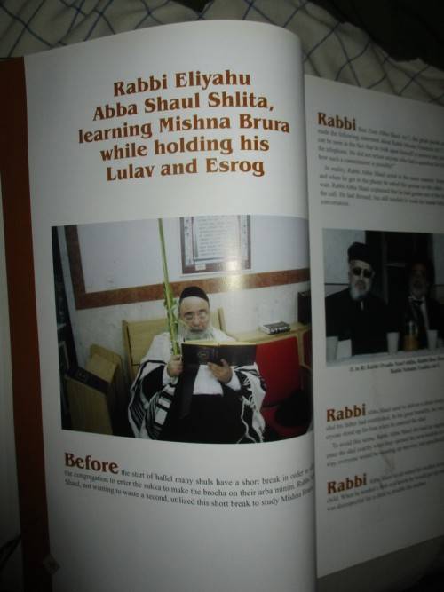 Gedolei Yisroel, Portraits of Greatness