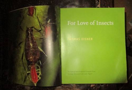 For Love of Insects