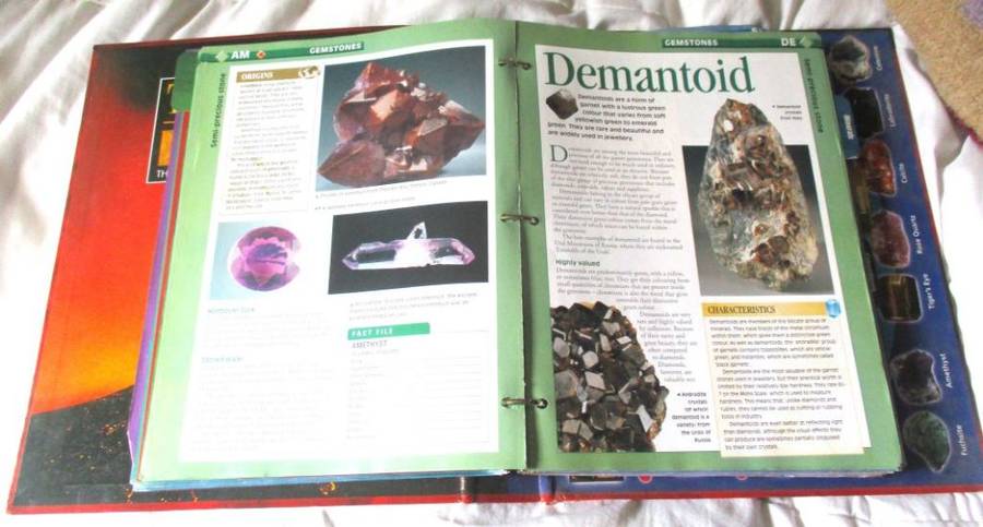 Rock collection and books