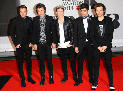 ONE DIRECTION JHB 29TH MARCH 2015