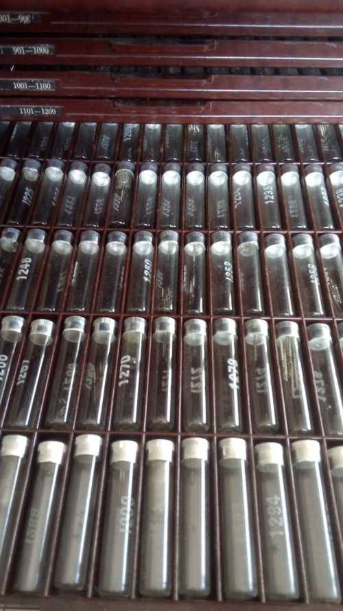 Vintage Balance Staff Stock Box